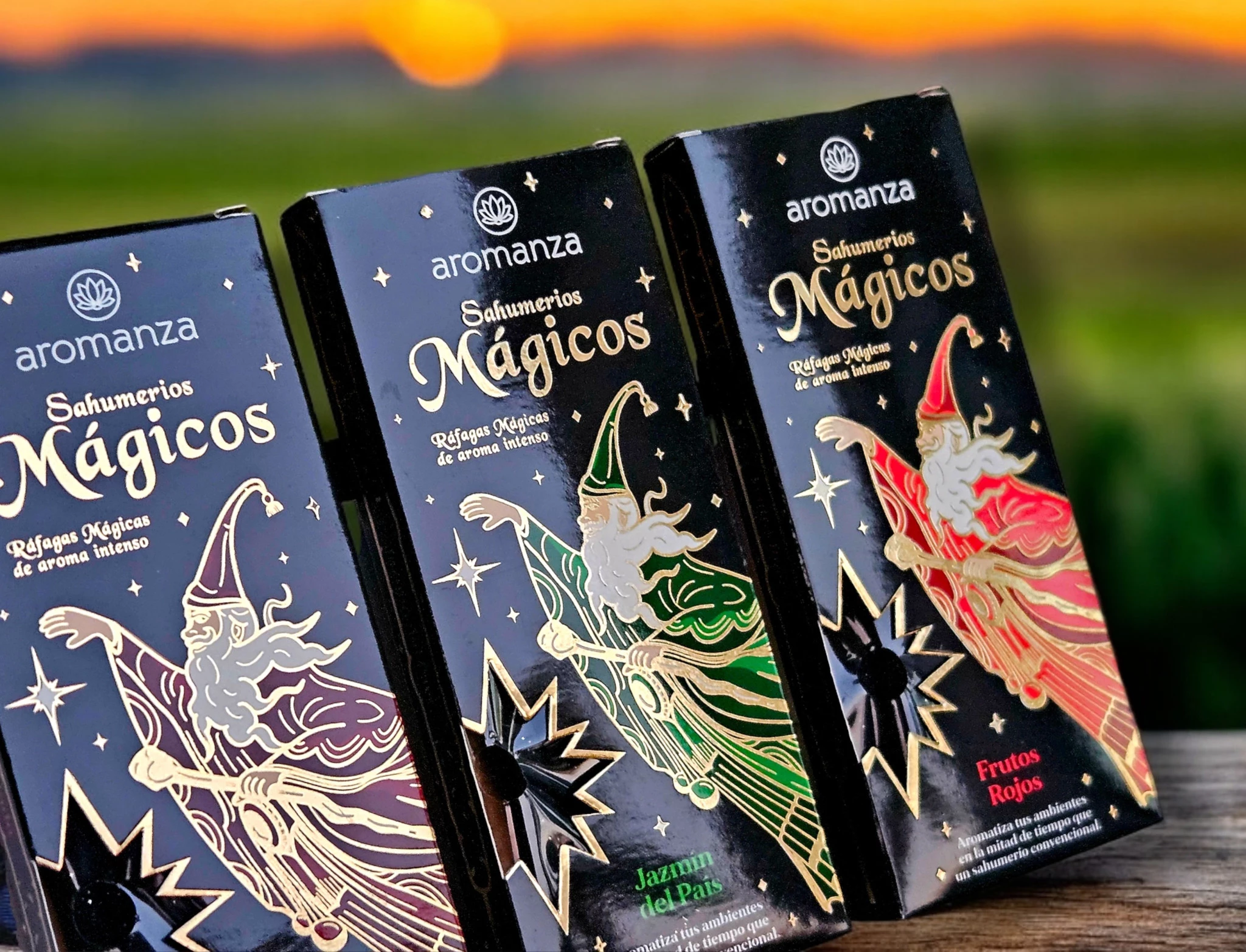 Producto 2 - Imagen 5